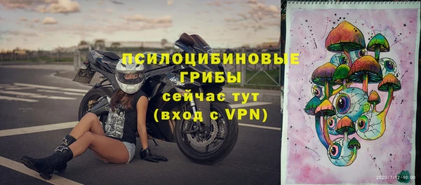 дмт Алексин