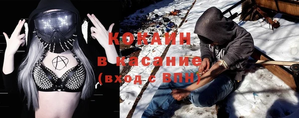 дмт Алексин
